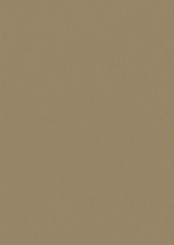 Inca_44.jpg
